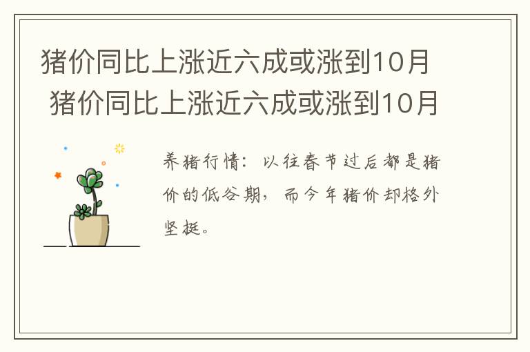 猪价同比上涨近六成或涨到10月 猪价同比上涨近六成或涨到10月份