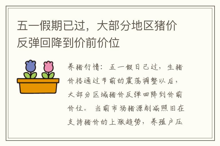 五一假期已过，大部分地区猪价反弹回降到价前价位