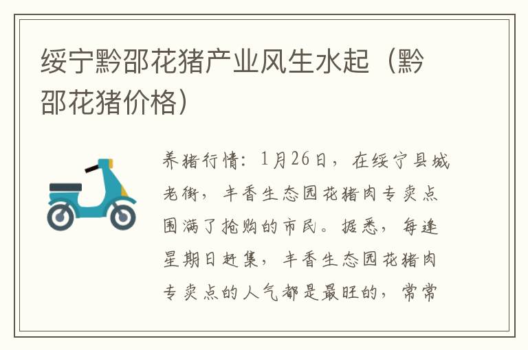 绥宁黔邵花猪产业风生水起（黔邵花猪价格）
