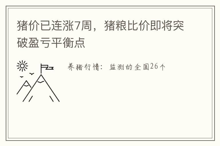 猪价已连涨7周，猪粮比价即将突破盈亏平衡点