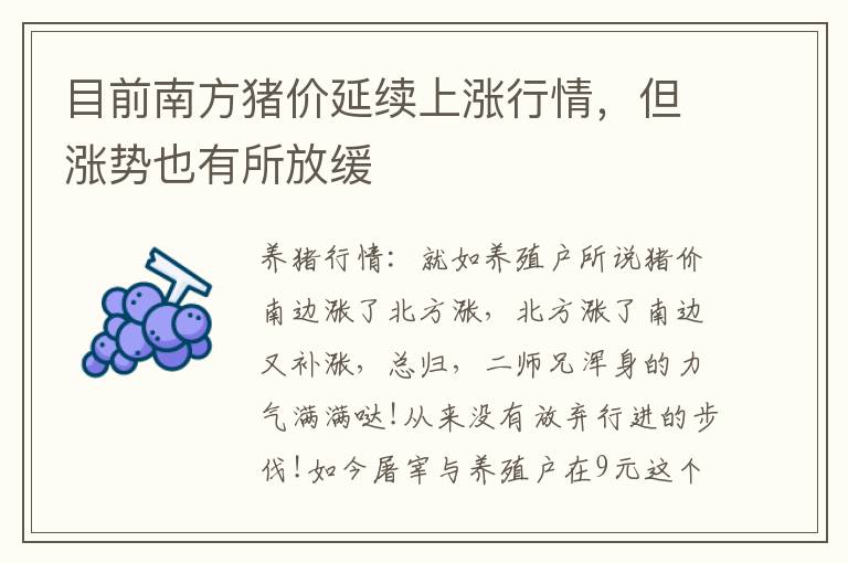 目前南方猪价延续上涨行情，但涨势也有所放缓