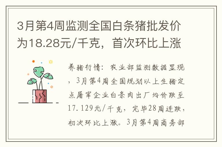 3月第4周监测全国白条猪批发价为18.28元/千克，首次环比上涨