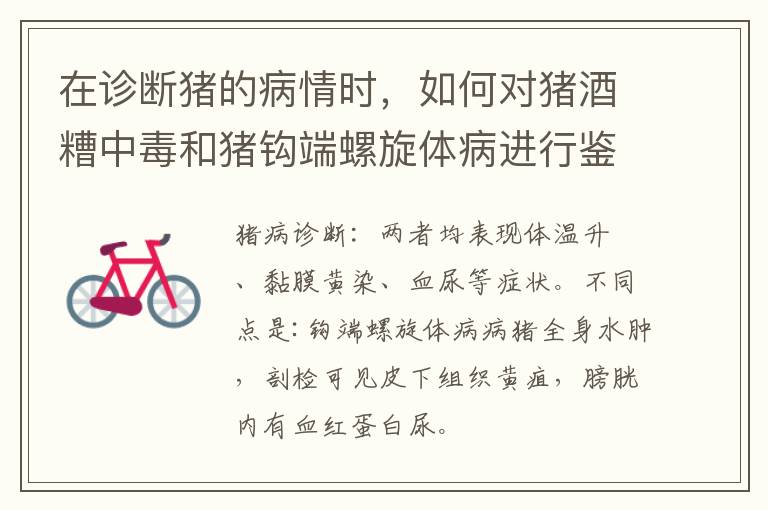 在诊断猪的病情时，如何对猪酒糟中毒和猪钩端螺旋体病进行鉴别？