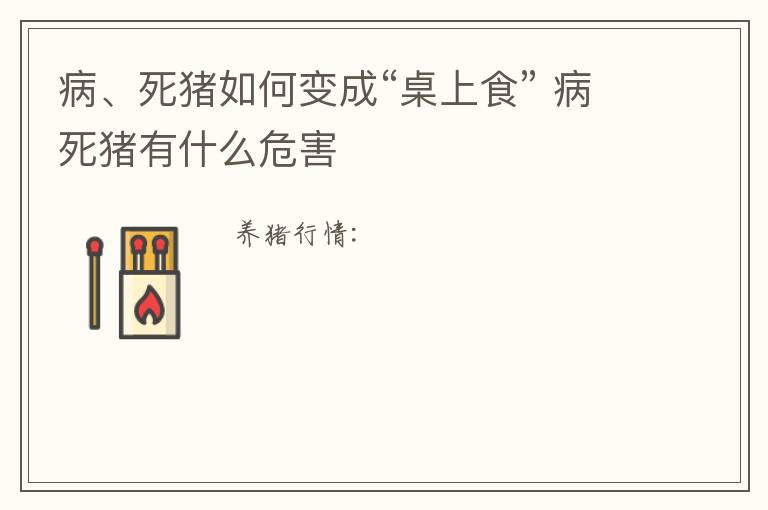 病、死猪如何变成“桌上食” 病死猪有什么危害