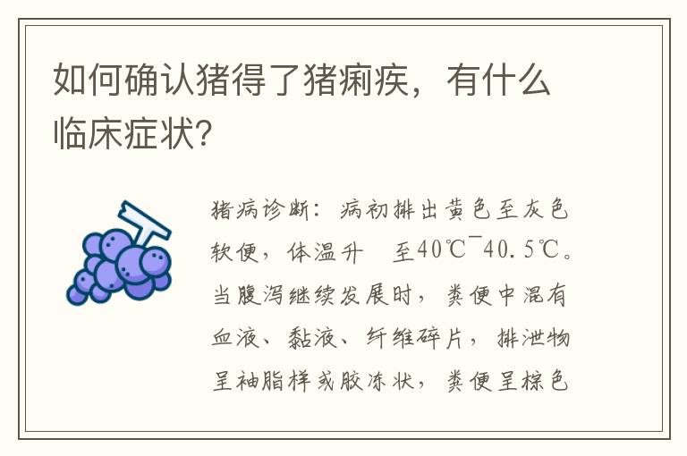 如何确认猪得了猪痢疾，有什么临床症状？