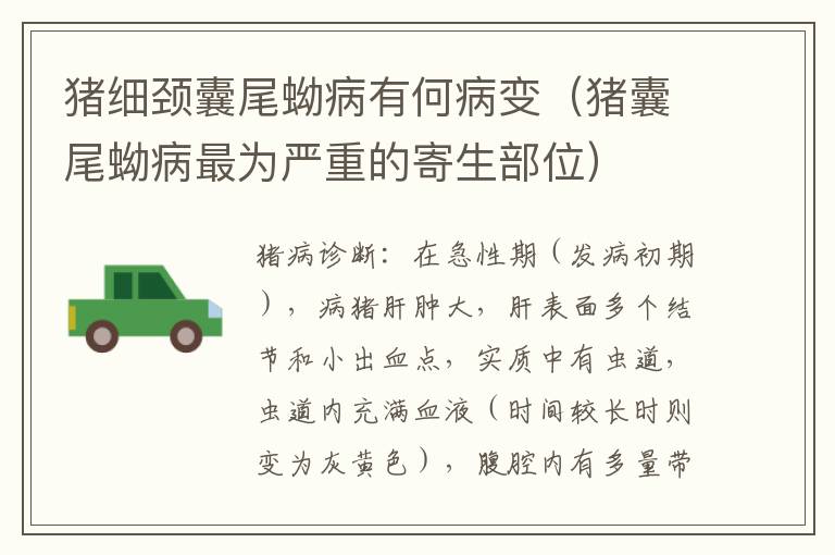 猪细颈囊尾蚴病有何病变（猪囊尾蚴病最为严重的寄生部位）
