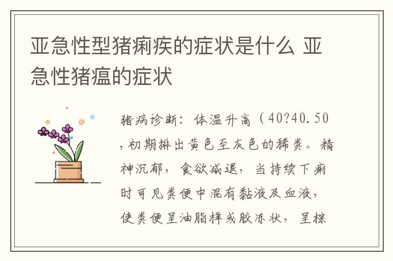 亚急性型猪痢疾的症状是什么 亚急性猪瘟的症状