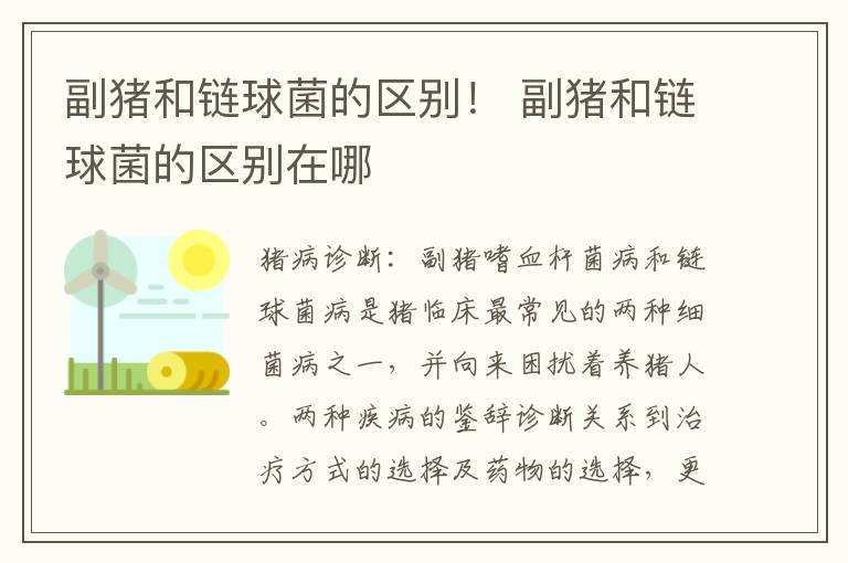 副猪和链球菌的区别！ 副猪和链球菌的区别在哪