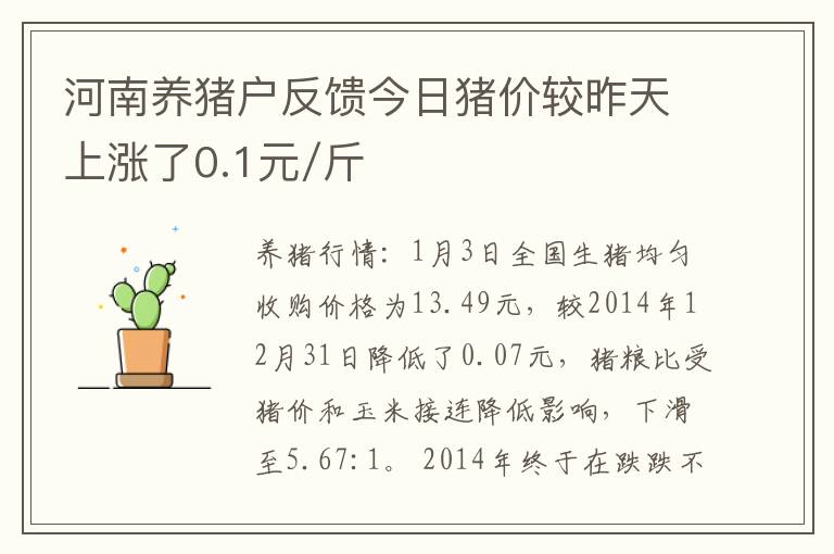 河南养猪户反馈今日猪价较昨天上涨了0.1元/斤