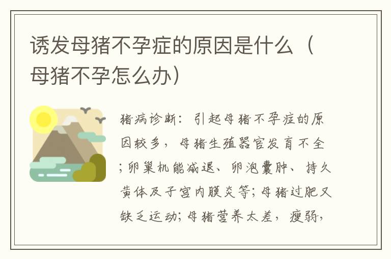 诱发母猪不孕症的原因是什么（母猪不孕怎么办）