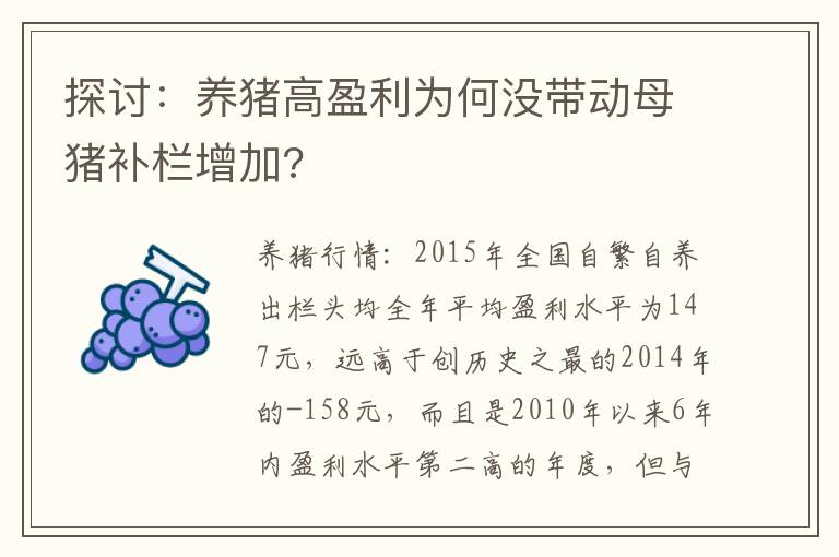 探讨：养猪高盈利为何没带动母猪补栏增加?