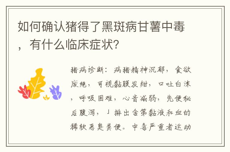 如何确认猪得了黑斑病甘薯中毒，有什么临床症状？