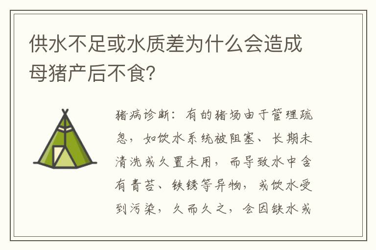 供水不足或水质差为什么会造成母猪产后不食？