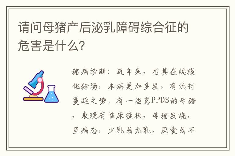 请问母猪产后泌乳障碍综合征的危害是什么？