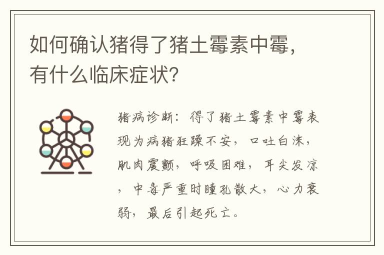 如何确认猪得了猪土霉素中霉，有什么临床症状？