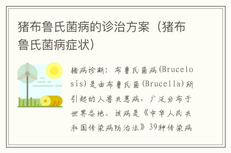 猪布鲁氏菌病的诊治方案（猪布鲁氏菌病症状）