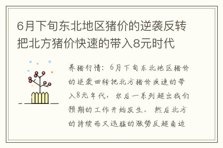6月下旬东北地区猪价的逆袭反转把北方猪价快速的带入8元时代
