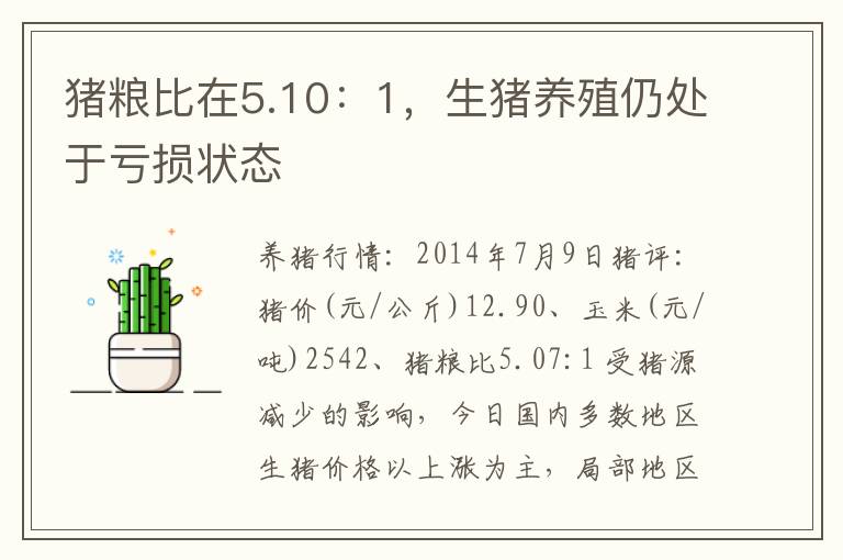 猪粮比在5.10：1，生猪养殖仍处于亏损状态