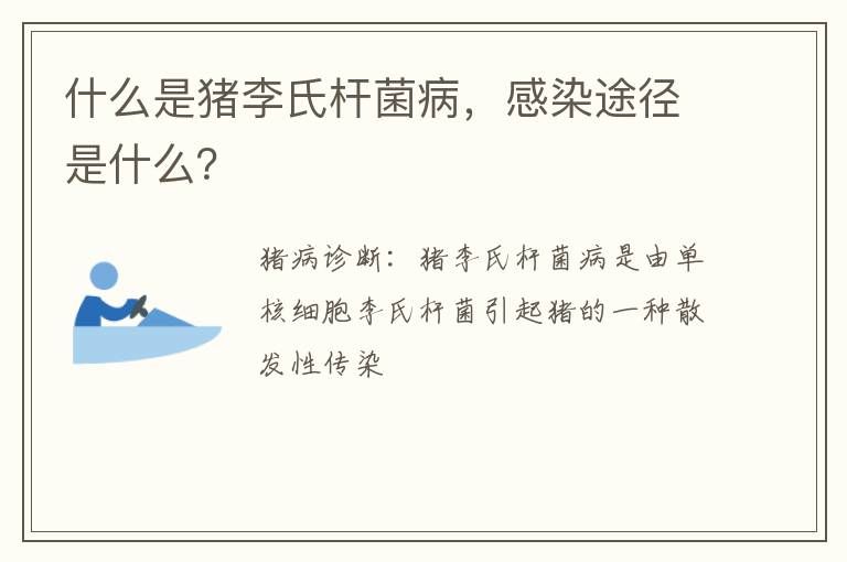 什么是猪李氏杆菌病，感染途径是什么？