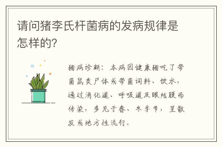 请问猪李氏杆菌病的发病规律是怎样的？