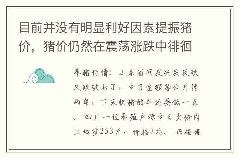 目前并没有明显利好因素提振猪价，猪价仍然在震荡涨跌中徘徊