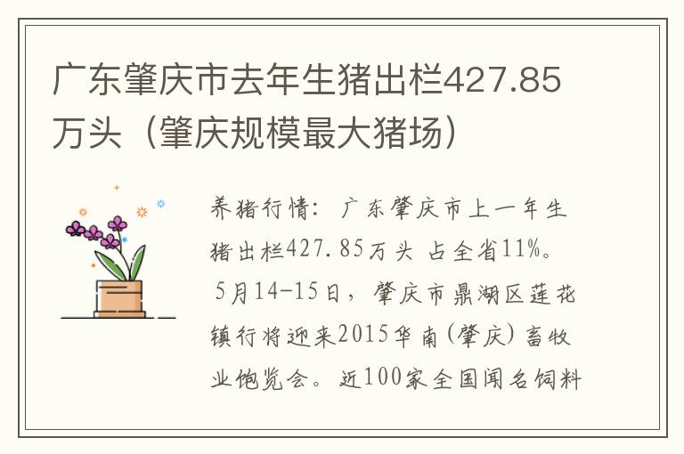 广东肇庆市去年生猪出栏427.85万头（肇庆规模最大猪场）