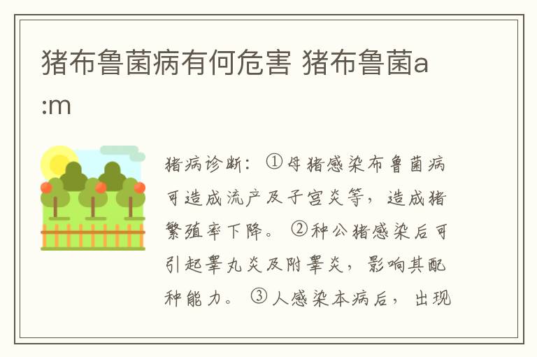 猪布鲁菌病有何危害 猪布鲁菌a:m
