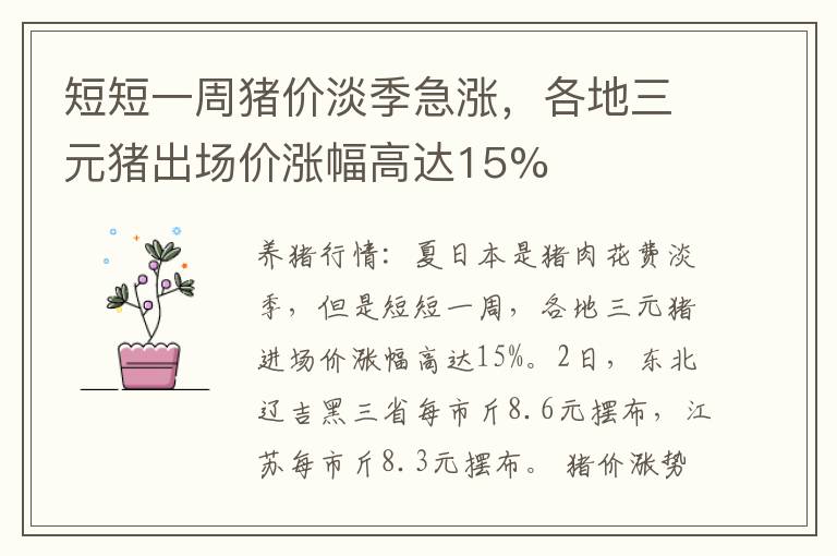 短短一周猪价淡季急涨，各地三元猪出场价涨幅高达15%