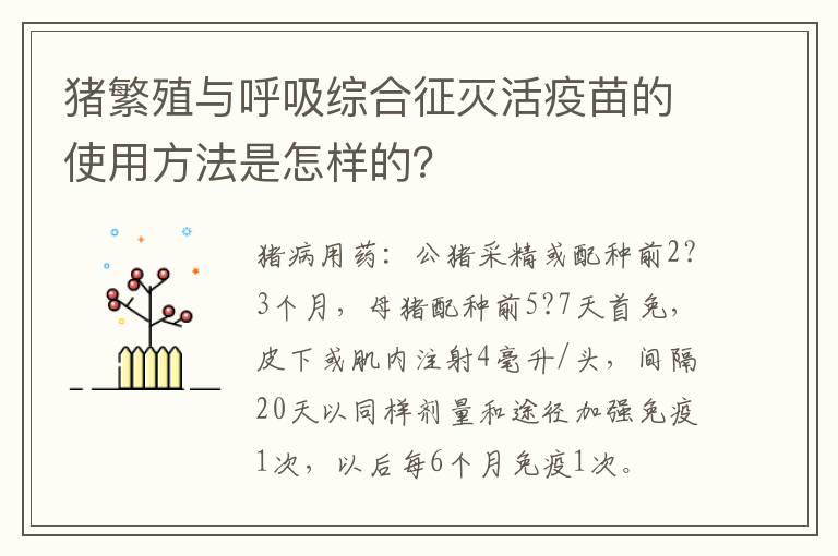 猪繁殖与呼吸综合征灭活疫苗的使用方法是怎样的？