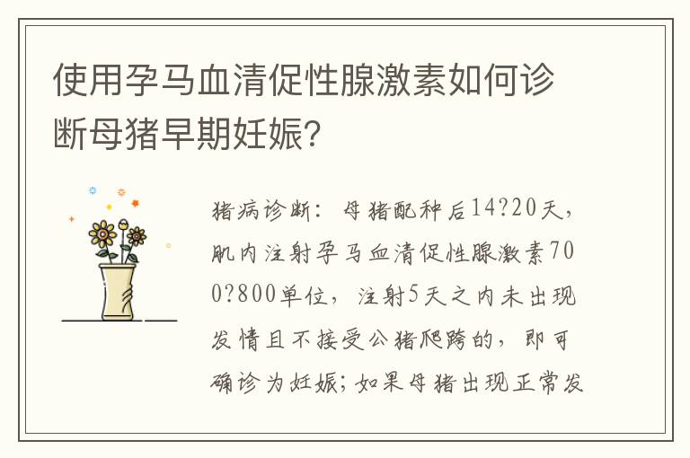使用孕马血清促性腺激素如何诊断母猪早期妊娠？