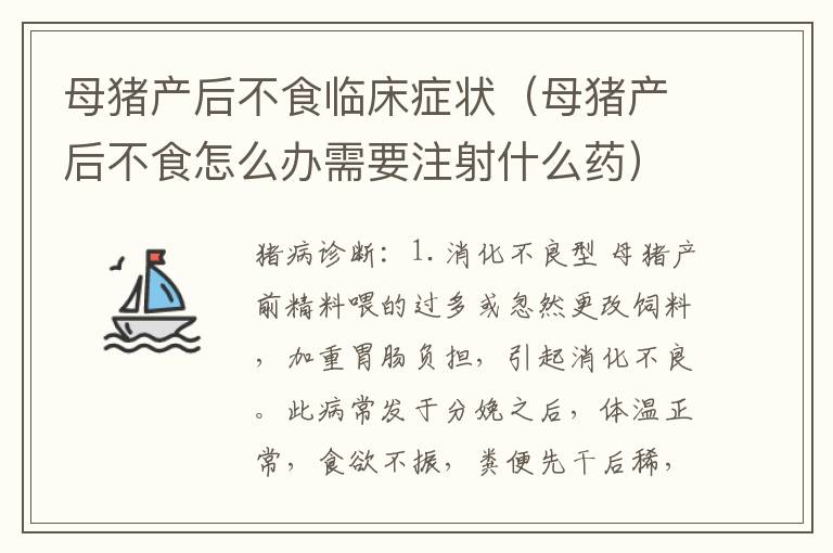 母猪产后不食临床症状（母猪产后不食怎么办需要注射什么药）
