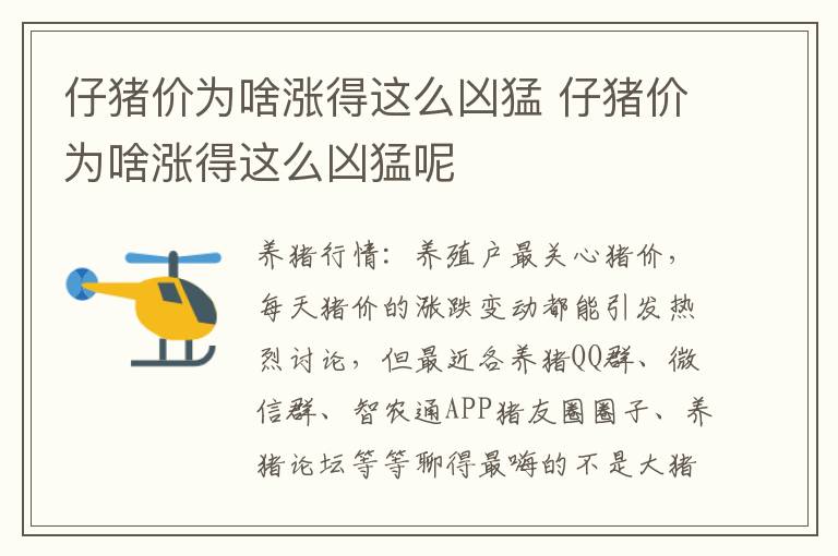 仔猪价为啥涨得这么凶猛 仔猪价为啥涨得这么凶猛呢