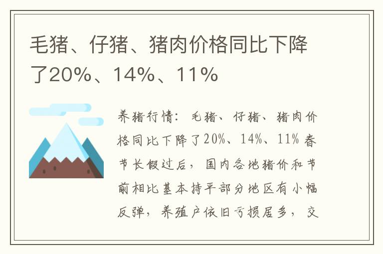 毛猪、仔猪、猪肉价格同比下降了20%、14%、11%