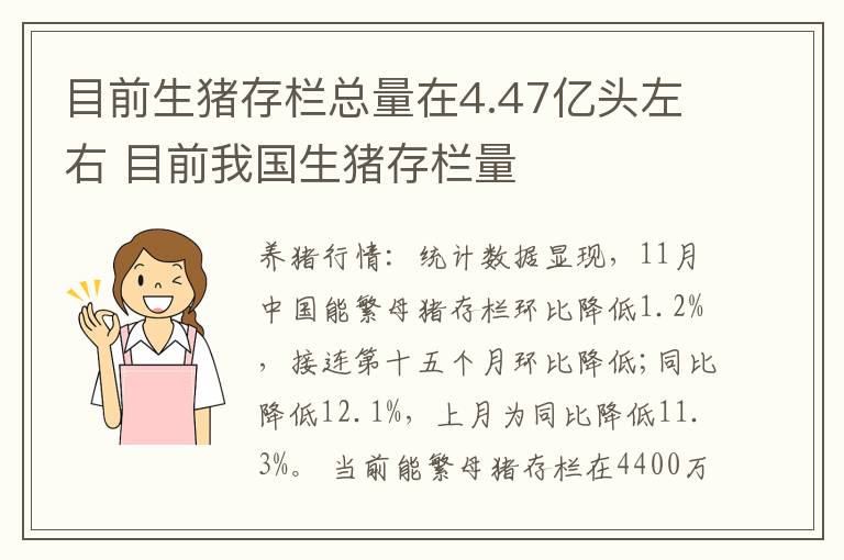 目前生猪存栏总量在4.47亿头左右 目前我国生猪存栏量