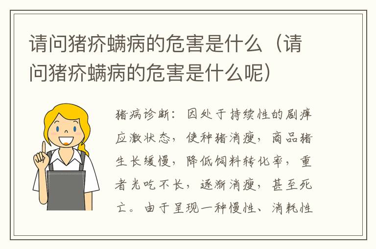 请问猪疥螨病的危害是什么（请问猪疥螨病的危害是什么呢）