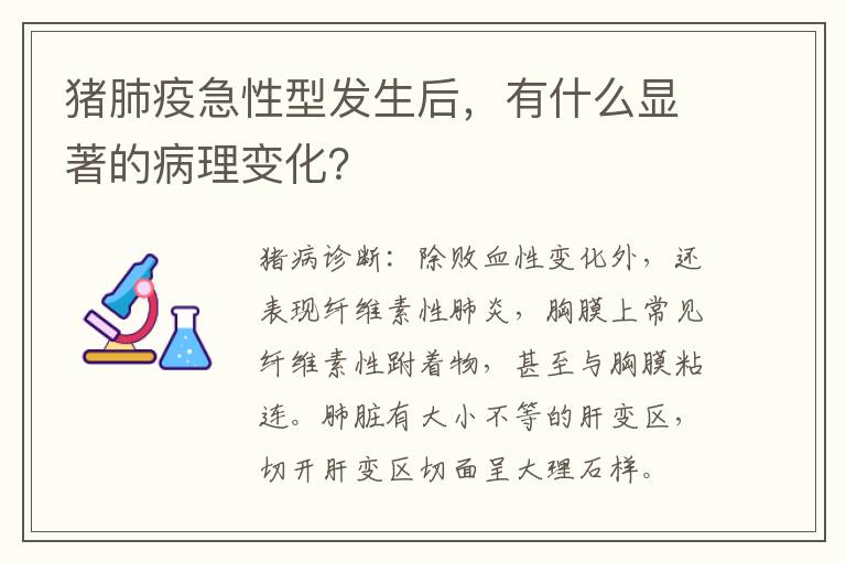 猪肺疫急性型发生后，有什么显著的病理变化？