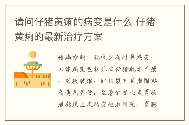 请问仔猪黄痢的病变是什么 仔猪黄痢的最新治疗方案