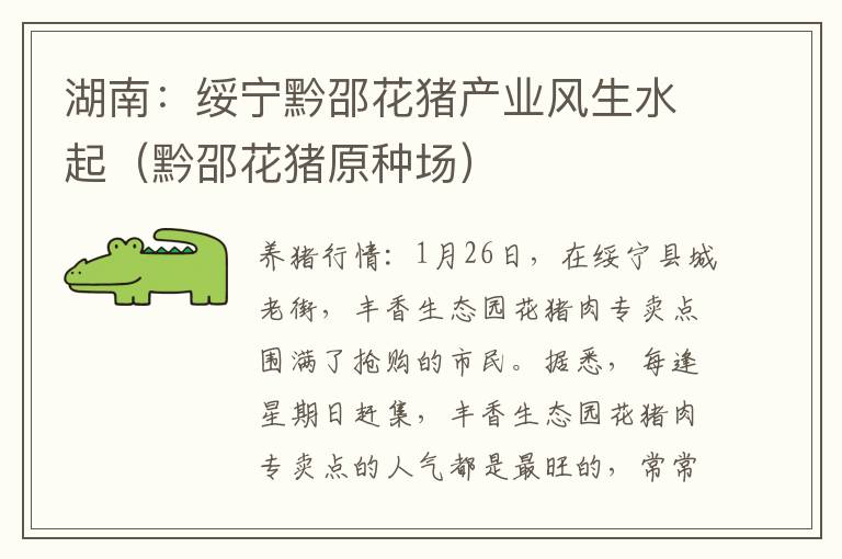 湖南：绥宁黔邵花猪产业风生水起（黔邵花猪原种场）