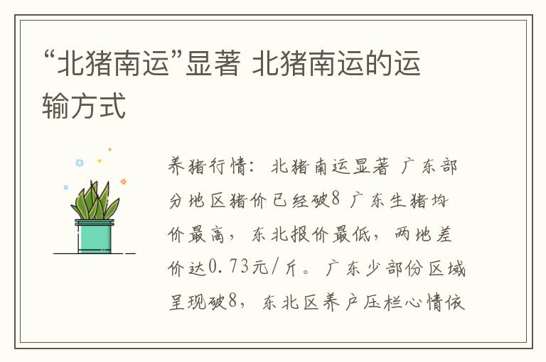 “北猪南运”显著 北猪南运的运输方式