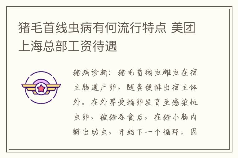 猪毛首线虫病有何流行特点 美团上海总部工资待遇