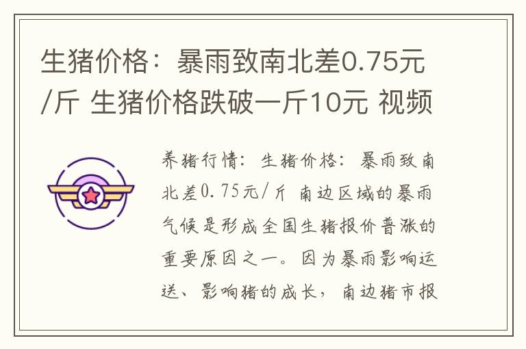生猪价格：暴雨致南北差0.75元/斤 生猪价格跌破一斤10元 视频