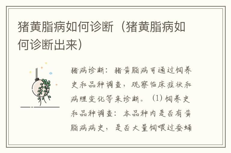 猪黄脂病如何诊断（猪黄脂病如何诊断出来）
