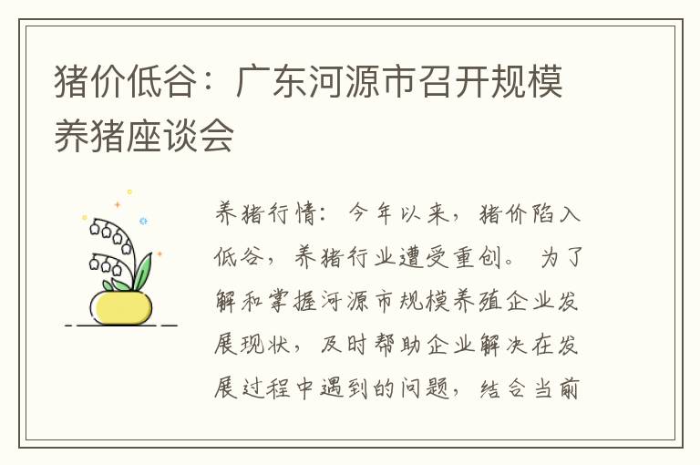 猪价低谷：广东河源市召开规模养猪座谈会