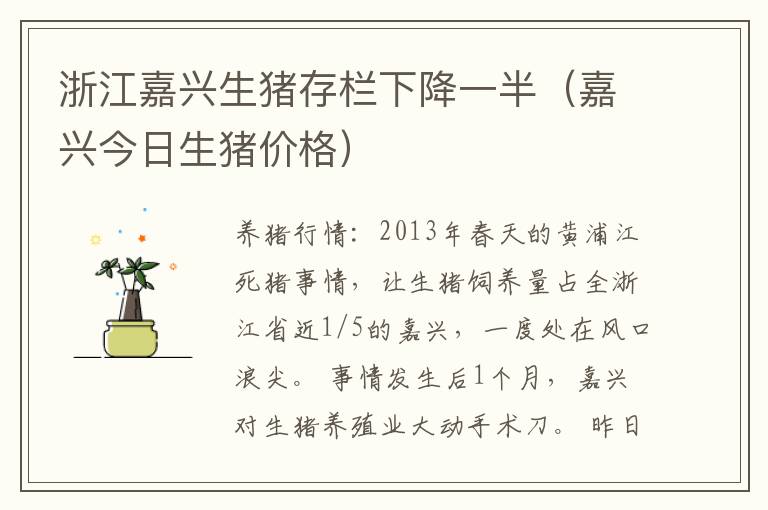 浙江嘉兴生猪存栏下降一半（嘉兴今日生猪价格）