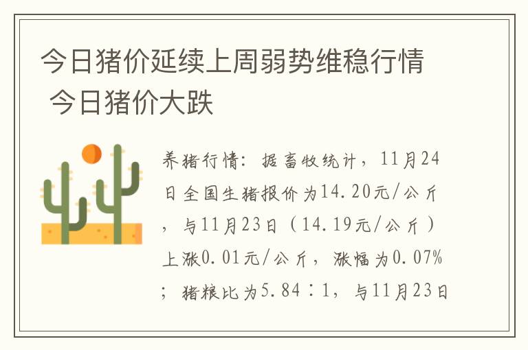 今日猪价延续上周弱势维稳行情 今日猪价大跌