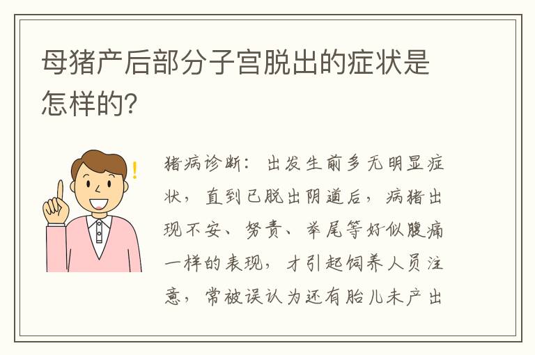 母猪产后部分子宫脱出的症状是怎样的？