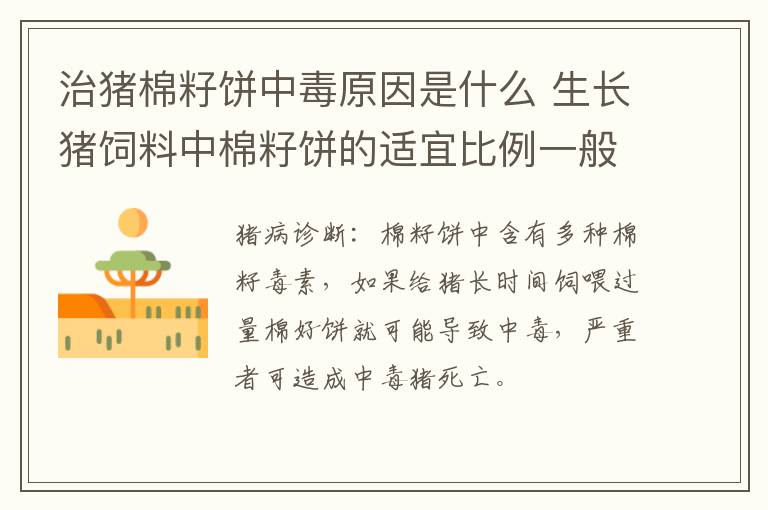 治猪棉籽饼中毒原因是什么 生长猪饲料中棉籽饼的适宜比例一般认为