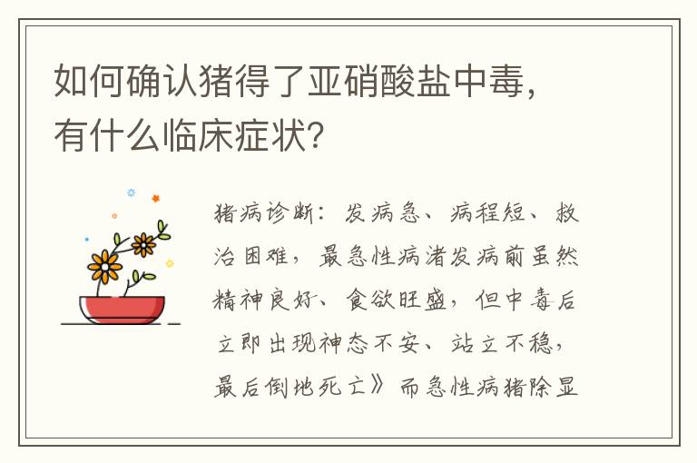如何确认猪得了亚硝酸盐中毒，有什么临床症状？