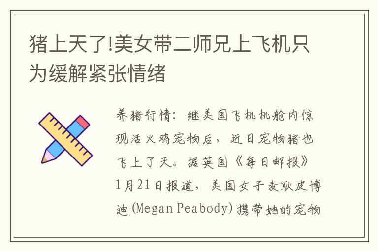 猪上天了!美女带二师兄上飞机只为缓解紧张情绪