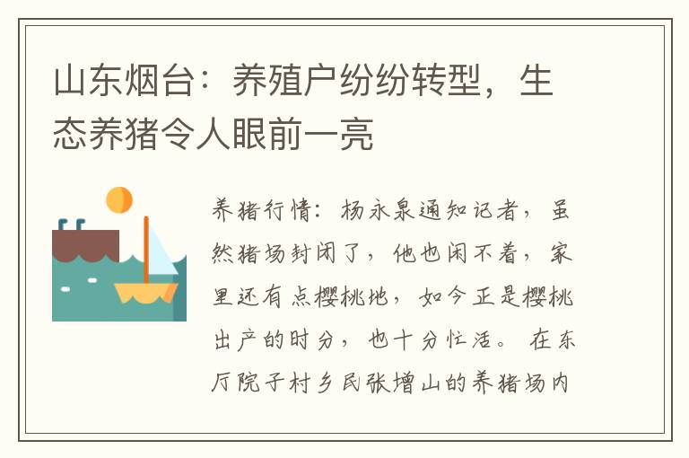 山东烟台：养殖户纷纷转型，生态养猪令人眼前一亮